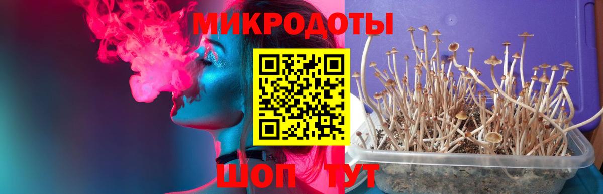 Галлюциногенные грибы GOLDEN TEACHER  Вход с VPN  Омск 